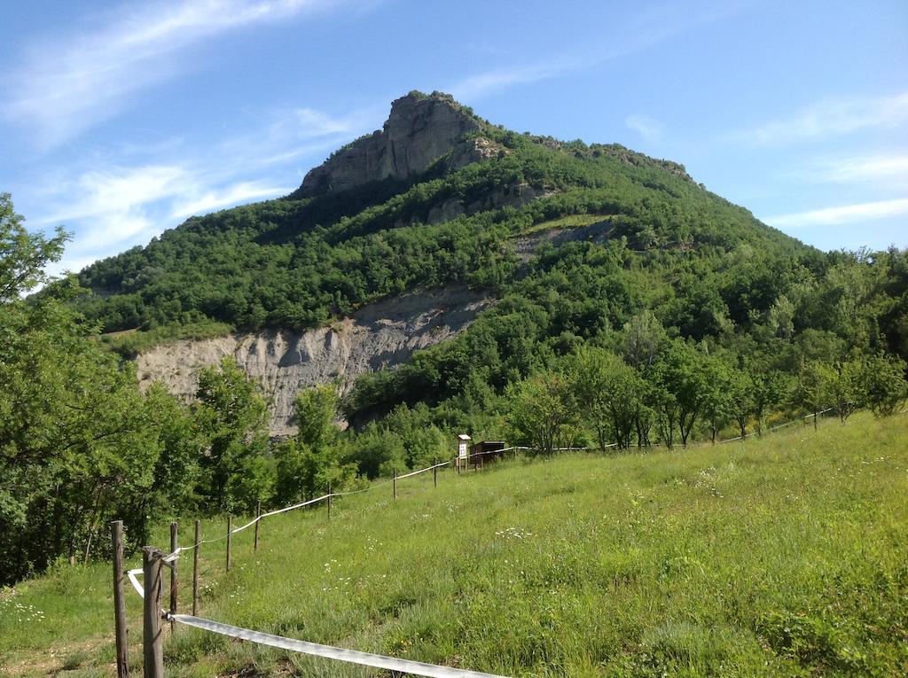 Agriturismo Ca' Di Mazza Monzuno Exteriér fotografie