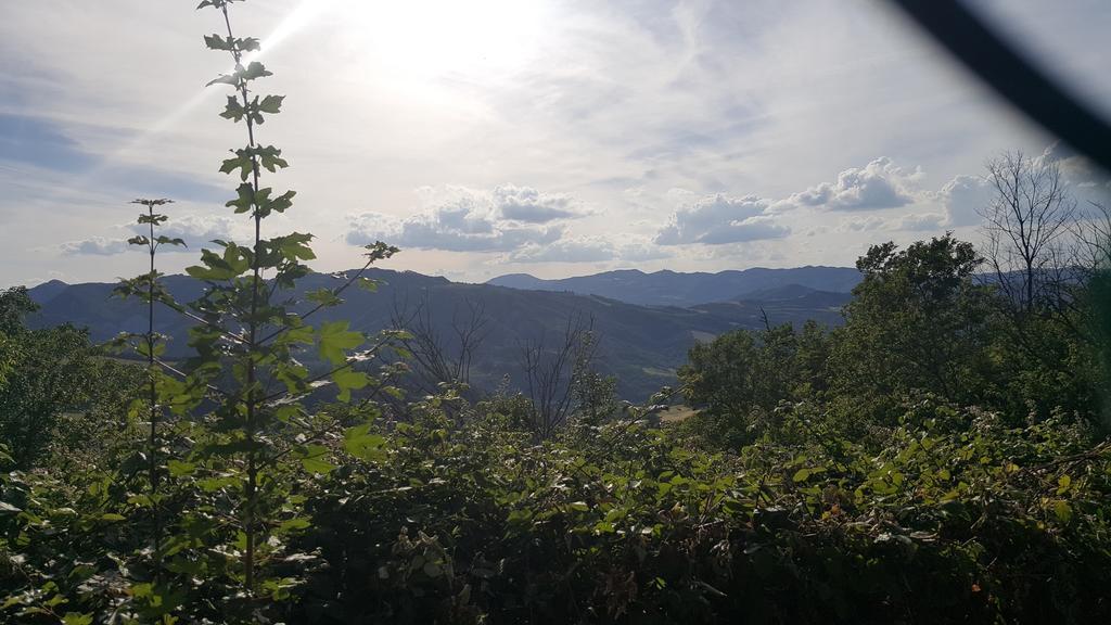Agriturismo Ca' Di Mazza Monzuno Exteriér fotografie