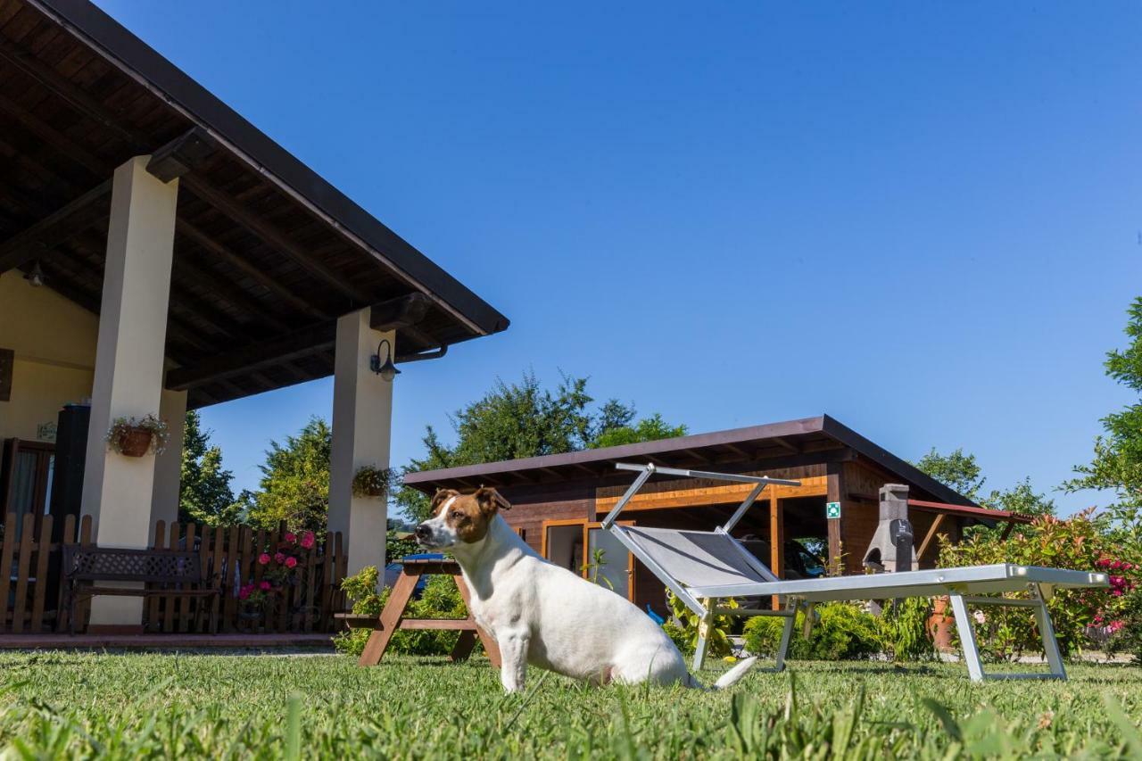 Agriturismo Ca' Di Mazza Monzuno Exteriér fotografie